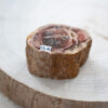 versteinertes Holz