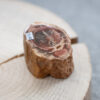 versteinertes Holz Madagaskar