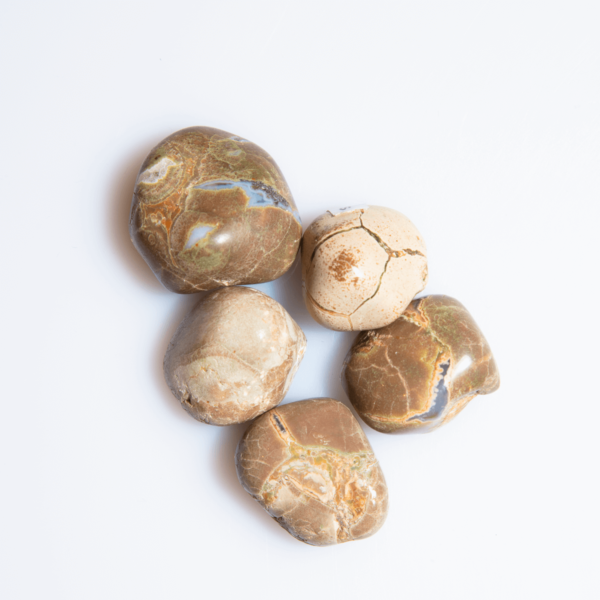 Amulettstein Australien Trommelstein 20 mm