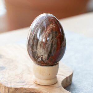 versteinertes Holz Ei Edelstein Heilstein