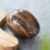 versteinertes Holz Ei Edelstein Heilstein