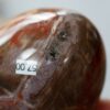 versteinertes Holz Ei Edelstein Heilstein