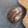 versteinertes Holz Ei Edelstein Heilstein