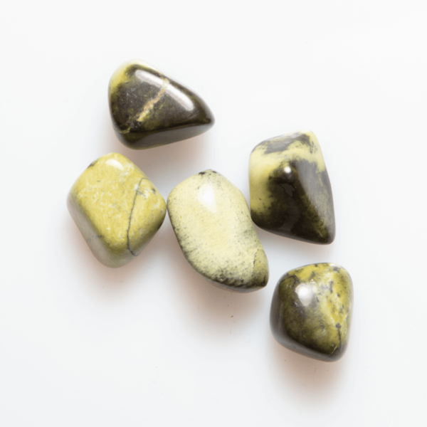 Chyta Serpentin Zimbabwe Trommelstein 10-25 mm
