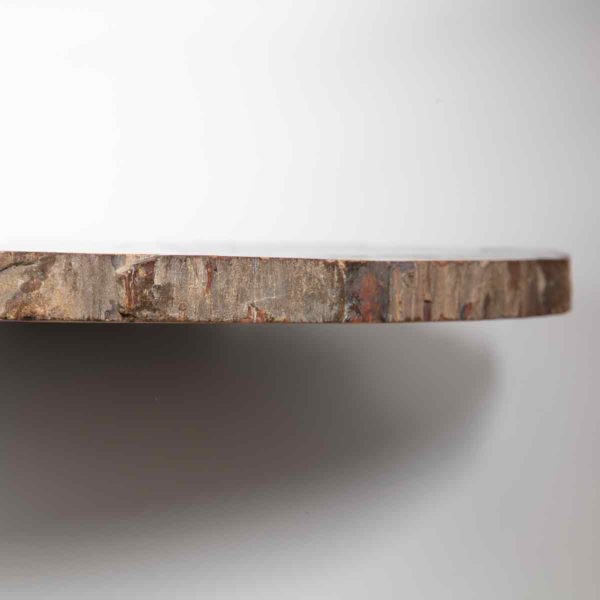 Versteinertes Holz 32x35,5 cm