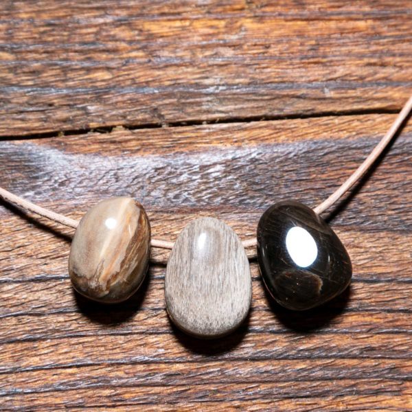 versteinertes Holz