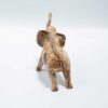 Bilder Jaspis Elefant