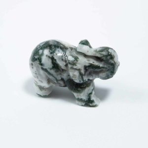 Moosachat Elefant