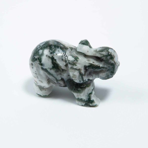Moosachat Elefant