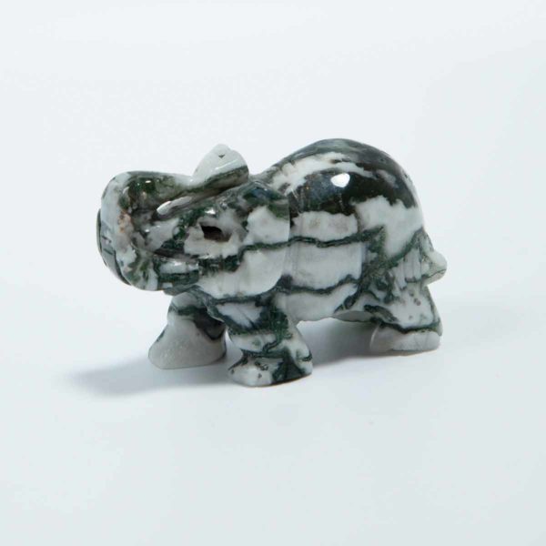 Moosachat Elefant