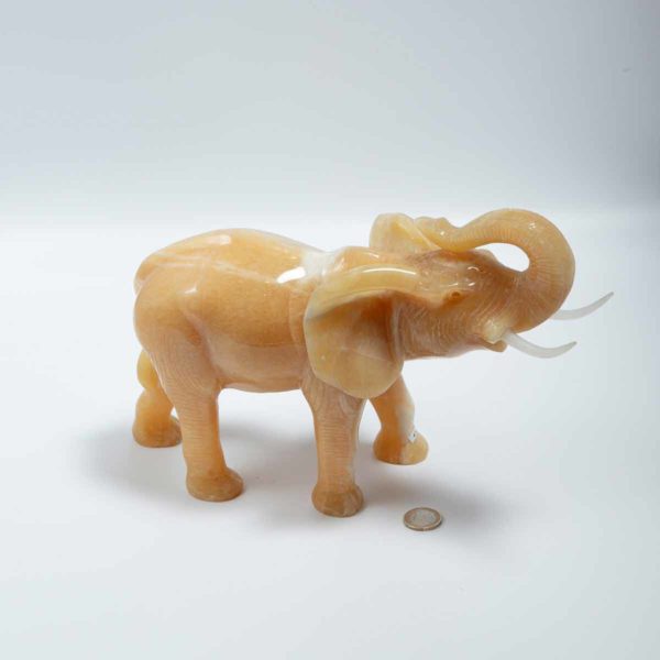 Orangen Calcit Elefant