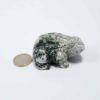 Moosachat Frosch
