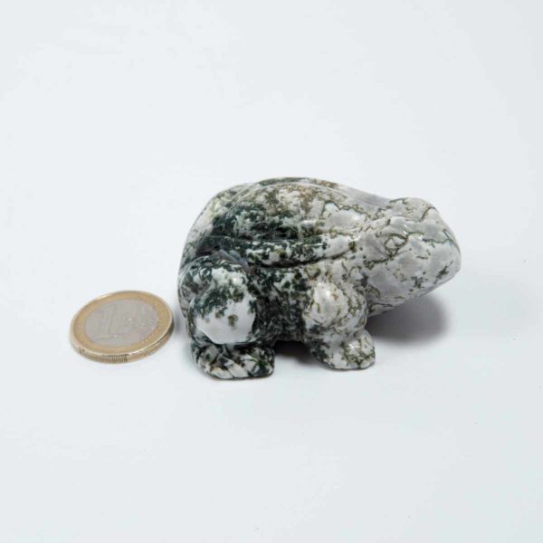 Moosachat Frosch