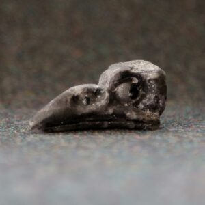 schwarzer raabe Adler Skulptur Skelett Totenkopf