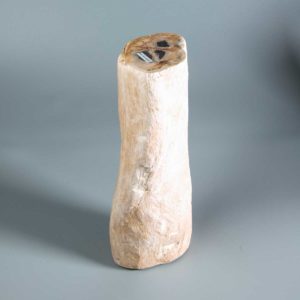 Versteinertes Holz