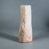 Versteinertes Holz