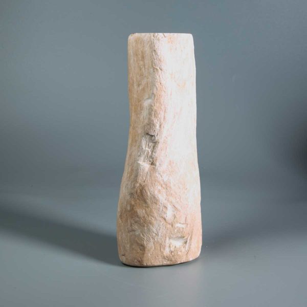 Versteinertes Holz