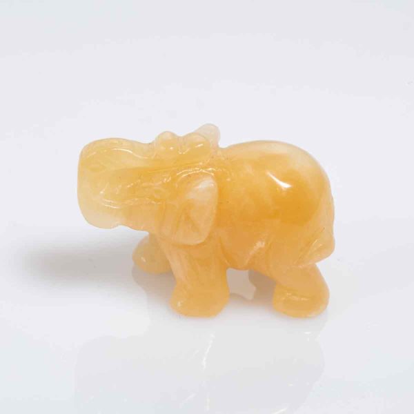 orangencalzit_elephant_50x20_15,20
