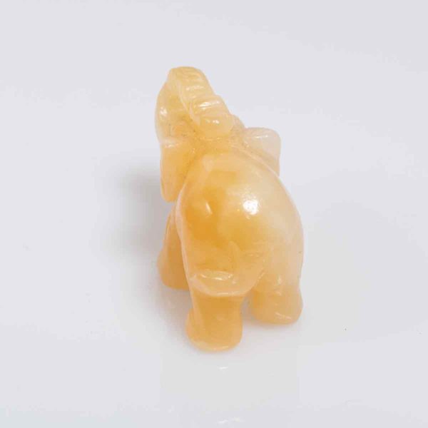 orangencalzit_elephant_50x20_15,20