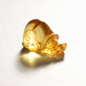 Schnecke aus Bernstein