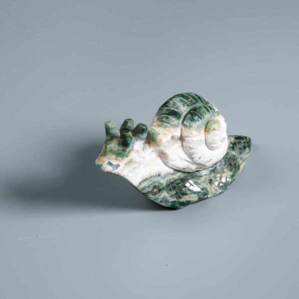 Augenachat Schnecke