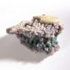 Trauben Chalcedon