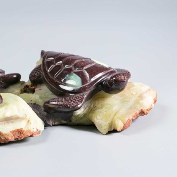 Wasserschildkröten aus Prehnit