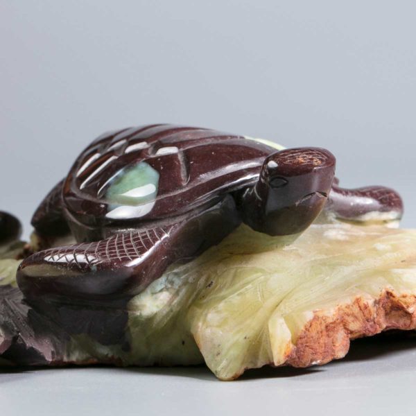 Wasserschildkröten aus Prehnit