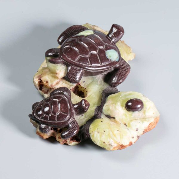 Wasserschildkröten aus Prehnit