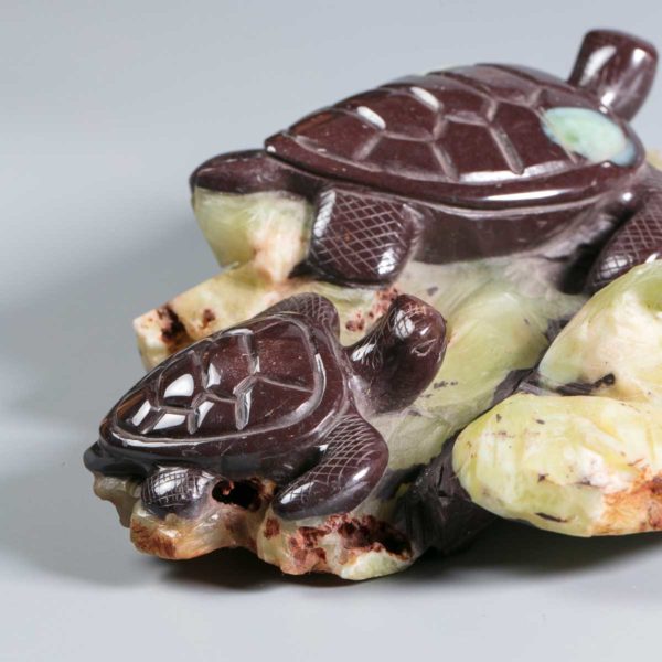 Wasserschildkröten aus Prehnit