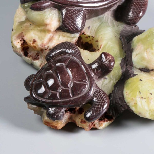 Wasserschildkröten aus Prehnit