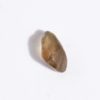 Farbwechsel Granat